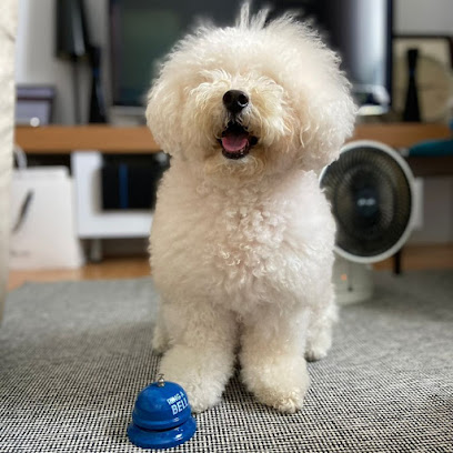 Momostella | Home Dog Boarding & Daycare
