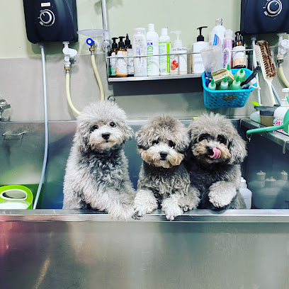 Furry Tales Pet Lifestyle Store