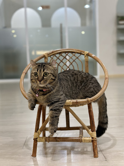 cat hotel radia
