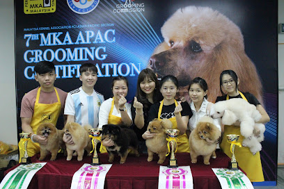 Doggy Doge Grooming & Training Academy