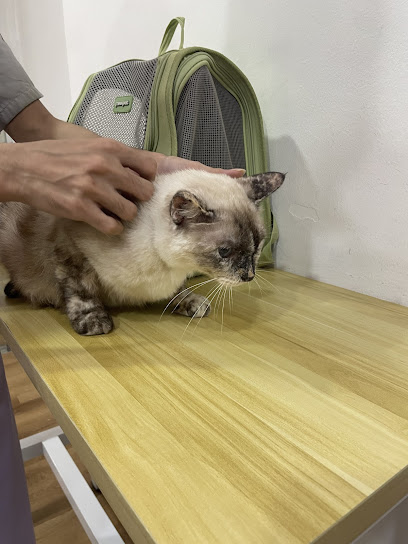 Cathome Cat Hotel and Grooming (OUG Jalan Klang Lama)