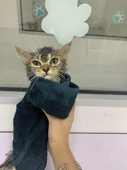 Catz House & Spa