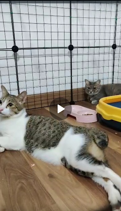 Fluffy Private Pet Boarding Service