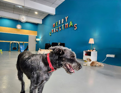 Fluffy Family Pet Boarding and Hotel