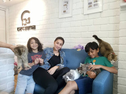 Catzonia Shah Alam