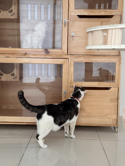 thecatbeing | Cat Hotel & Grooming