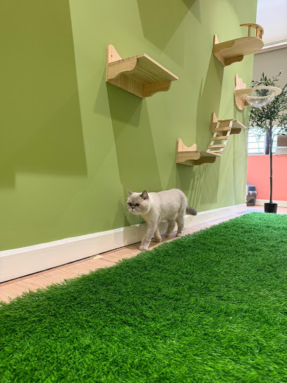 Sekuntum Cat Hotel