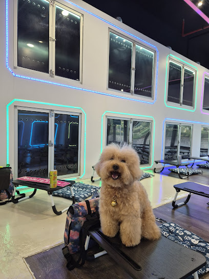 Chino & Apex Pet Space Cabin