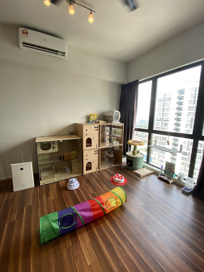 The Cozy Paw - Cat Hotel
