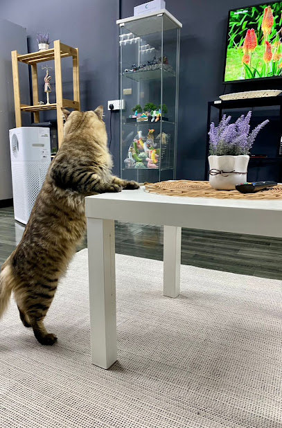 Fluffy Cares Cat Hotels & Grooming
