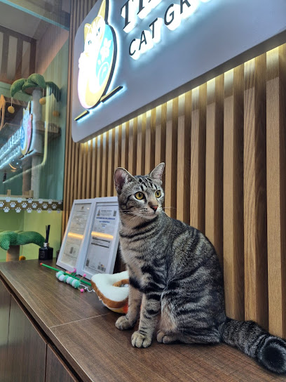 THE PURANAKAN CAT GROOMING & BOARDING