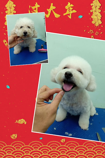 MooFu Pet Spa & Grooming (Puchong)