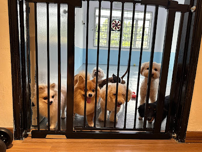 DooDoo Pet House 嘟嘟宠屋 (Pet Training, Pet Boarding/Daycare, Pet Basic Grooming)