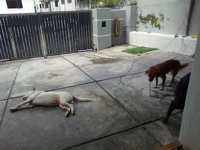 Pets Familia Sitting & Training Cheras