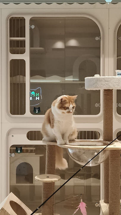 NEKO HOME (Cat Hotel & Spa)