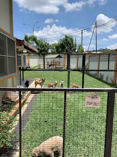 Doggy School Bus PJ (Dog Hotel/Boarding, Daycare & More)