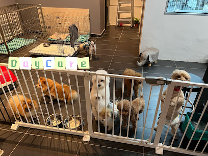 OURS PET STUDIO - Sg Besi Pet Shop , Pet Grooming , Pet Boarding Service