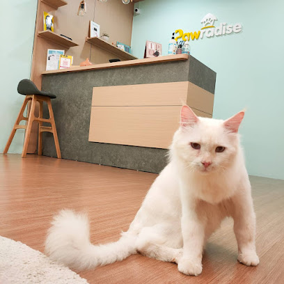 Pawradise Cat Hotel & Grooming
