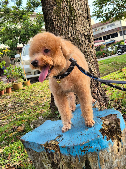 One Love Pet Care Centre