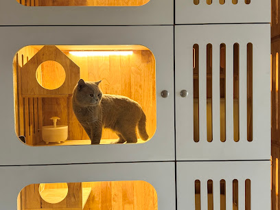 Hotel Kucing Pao and Pine - Premium Cat Hotel, Grooming & Cattery