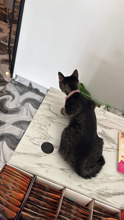 Beandpaws Cat Hotel & Spa | Setapak