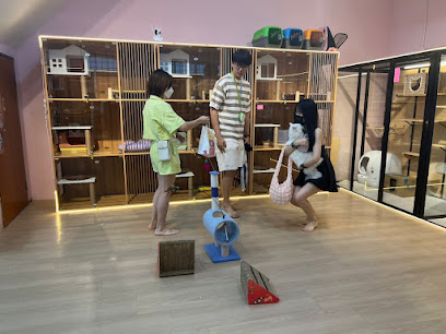 The Tails Zone - Cat Hotel - Boarding & Grooming