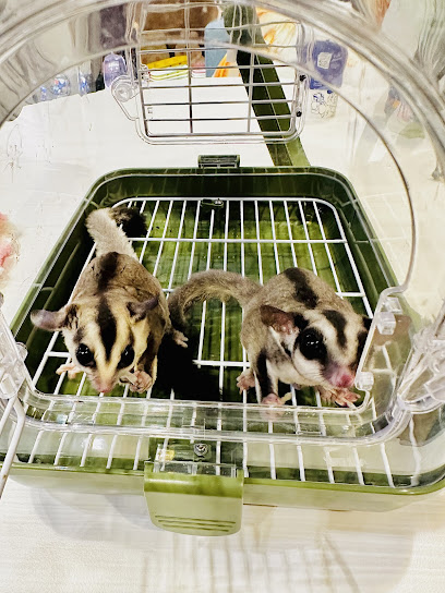 PETOPIA (Sugar Glider Specialty Store)