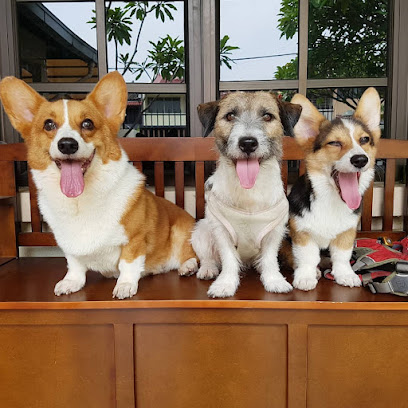 DODOPET Subang Jaya (Do Do Pet)