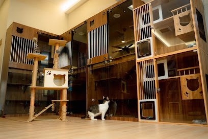 The Cat Hotel PJ
