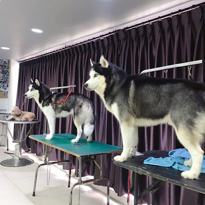 Puppy Cottage Sdn Bhd