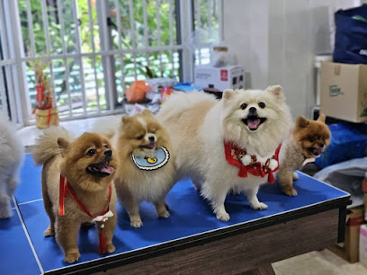 WOH Happy Pets Home Boarding