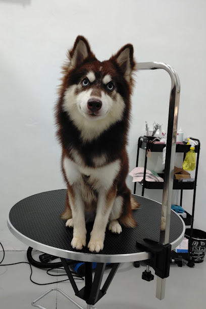 You Zi Pet House