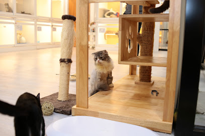 Catswell - Premium Cat Hotel, Cat Care, Cat Grooming & Cat Boarding @ Wangsa Maju, Kuala Lumpur