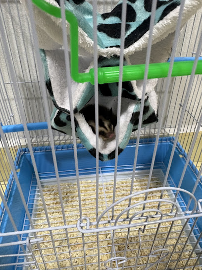 Petsarecute Damansara