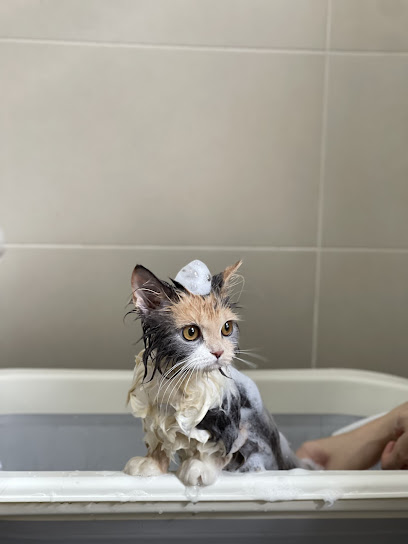 Love Miao Cat Grooming & Boarding