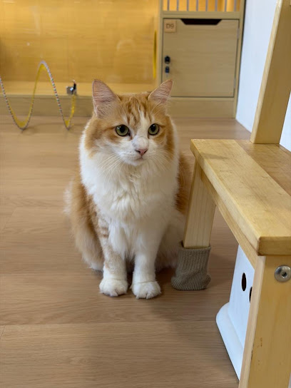 VTREE Cat Hotel