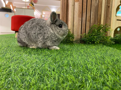 Derek's Bunny House • Puchong