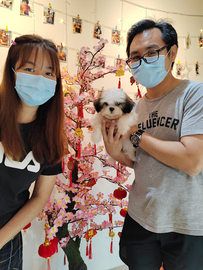 BB Monster Pet House