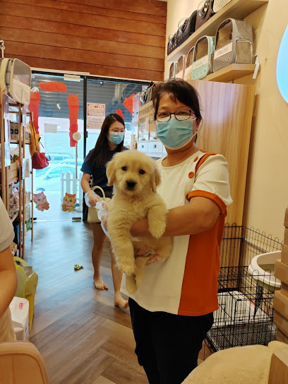 Soul Kittie Pet House Puchong 心灵知喵 - Pet Hotel , Grooming , DayCare , Boarding & Retail