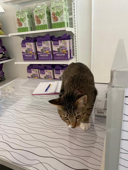 Belyy Cat Hotel