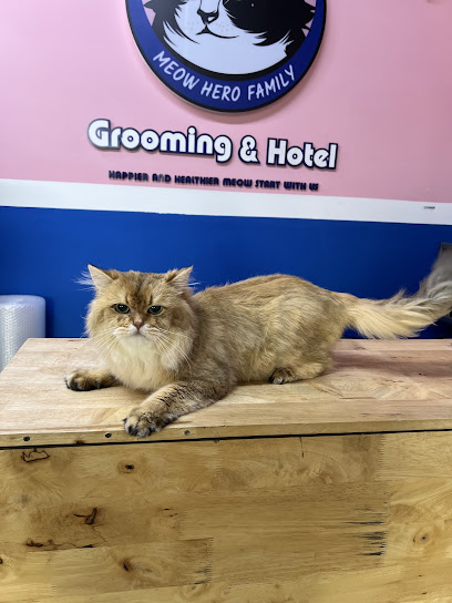 Meow hero Family | Premium Hotel & Grooming