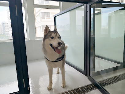Bowhouse Pet Salon