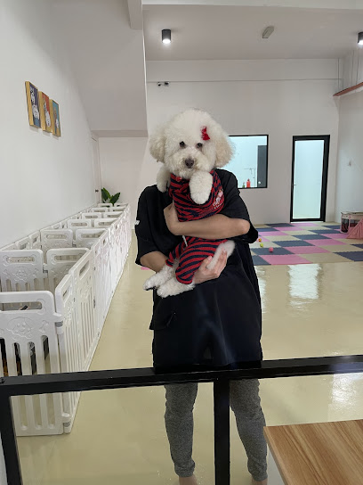 The WoWo Pet Salon Kota Damansara