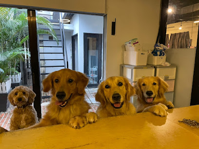 Fetch Me Later Pet Resort