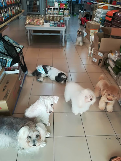 Qutie Pet Shop / Grooming boarding service